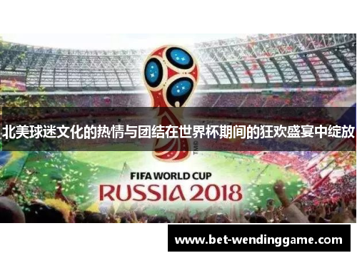 北美球迷文化的热情与团结在世界杯期间的狂欢盛宴中绽放