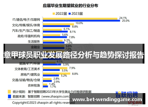 意甲球员职业发展路径分析与趋势探讨报告