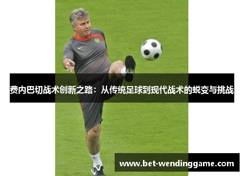 费内巴切战术创新之路：从传统足球到现代战术的蜕变与挑战