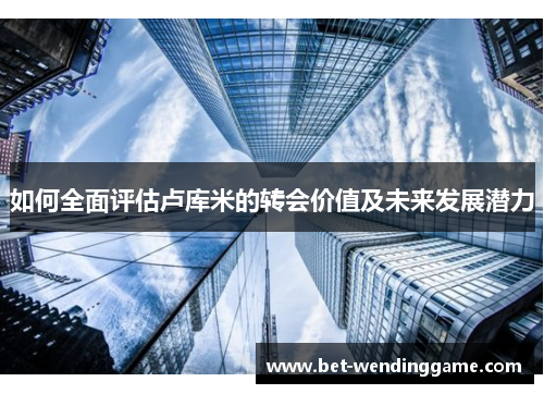 如何全面评估卢库米的转会价值及未来发展潜力