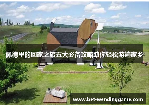 佩德里的回家之旅五大必备攻略助你轻松游遍家乡