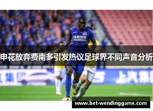 申花放弃费南多引发热议足球界不同声音分析