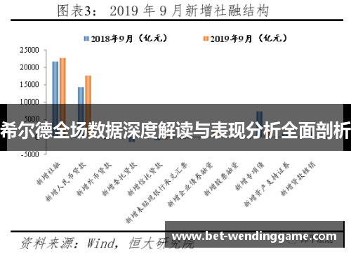 希尔德全场数据深度解读与表现分析全面剖析