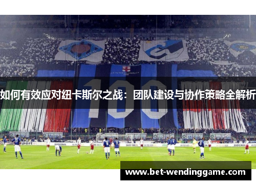 如何有效应对纽卡斯尔之战：团队建设与协作策略全解析