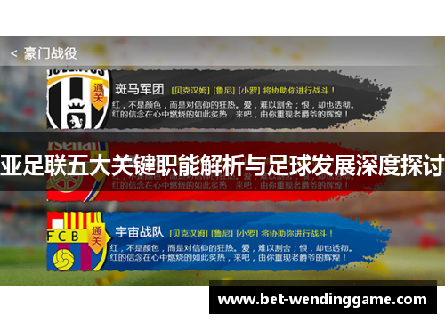 亚足联五大关键职能解析与足球发展深度探讨