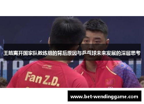 王皓离开国家队教练组的背后原因与乒乓球未来发展的深层思考