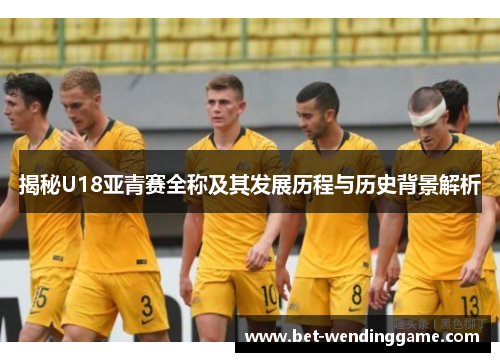揭秘U18亚青赛全称及其发展历程与历史背景解析