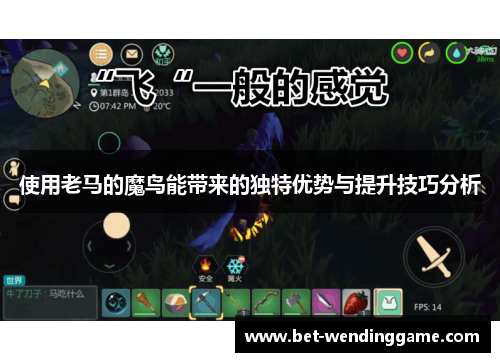 使用老马的魔鸟能带来的独特优势与提升技巧分析