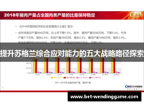 提升苏格兰综合应对能力的五大战略路径探索